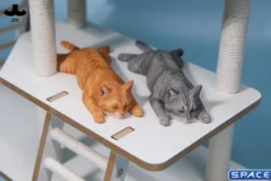 1/6 Scale lying Cat