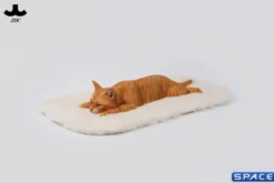 1/6 Scale lying Cat