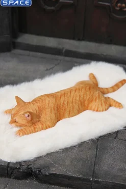 1/6 Scale lying Cat