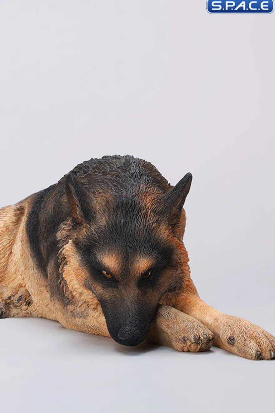 1/6 Scale lying German Shepherd
