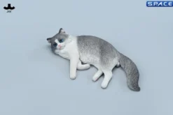 1/6 Scale lying Ragdoll