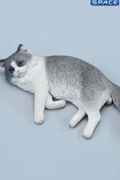 1/6 Scale lying Ragdoll