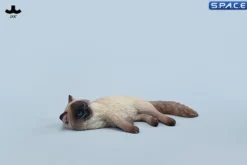 1/6 Scale lying Ragdoll