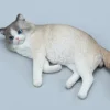 1/6 Scale lying Ragdoll