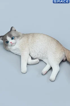 1/6 Scale lying Ragdoll