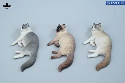 1/6 Scale lying Ragdoll