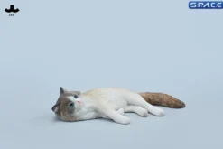 1/6 Scale lying Ragdoll