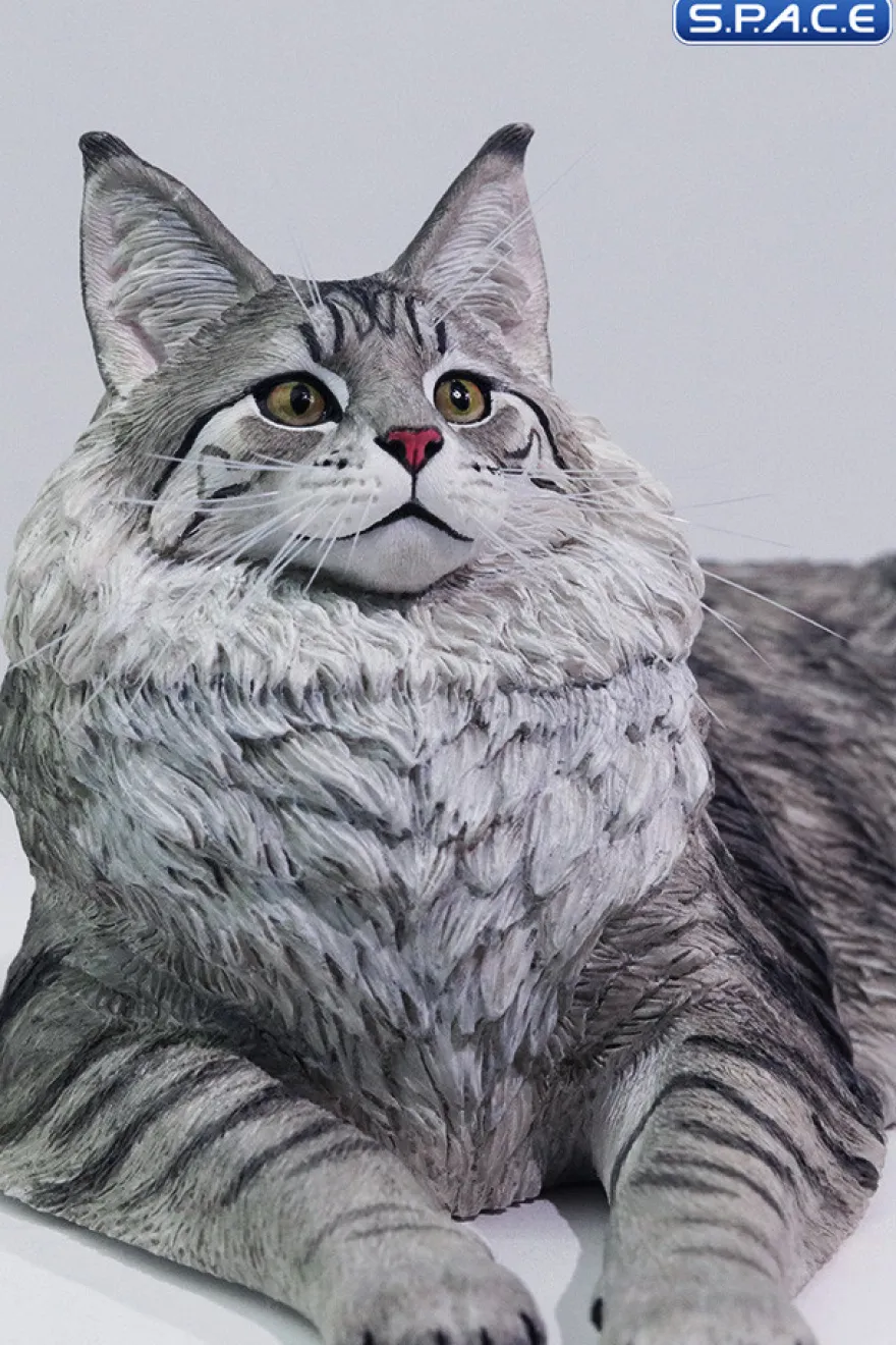 1/6 Scale Maine Coon