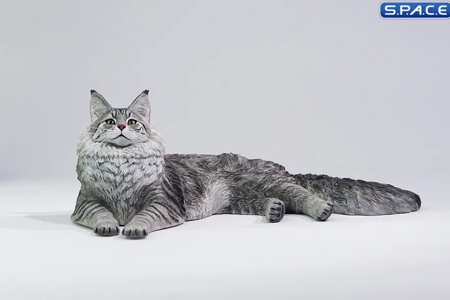 1/6 Scale Maine Coon