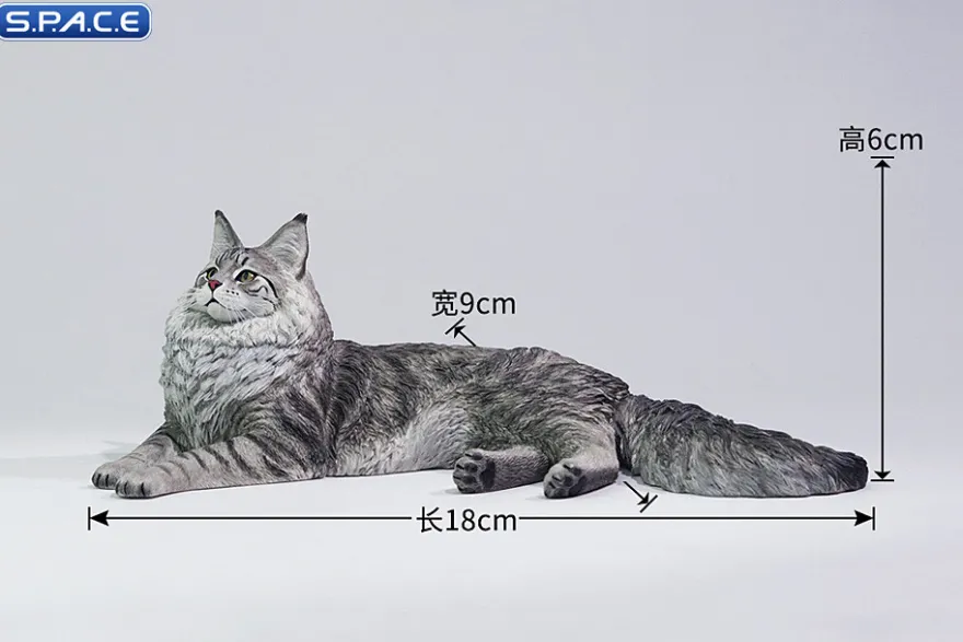 1/6 Scale Maine Coon