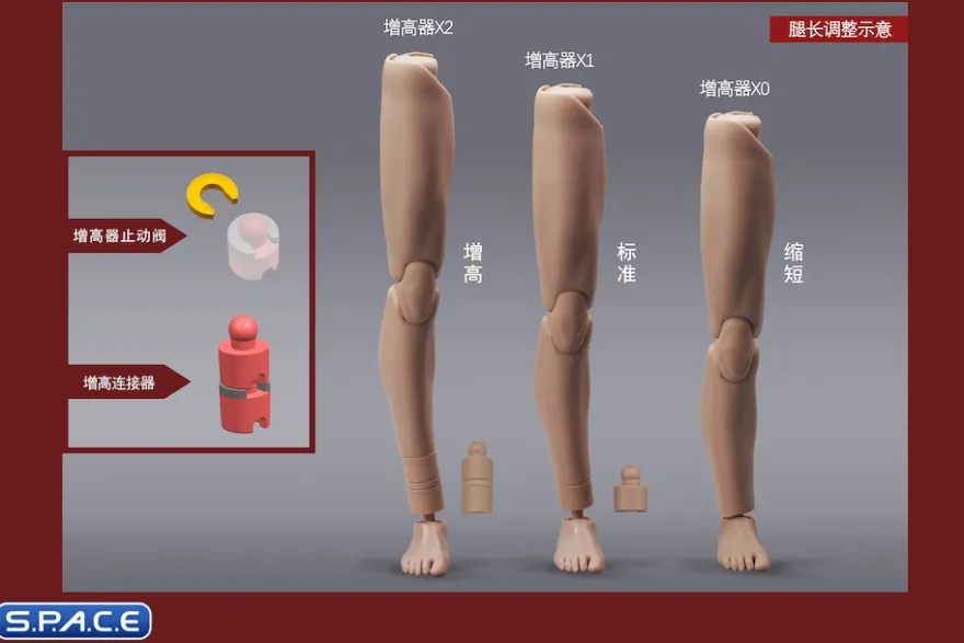 1/6 Scale Male Body MH2201C
