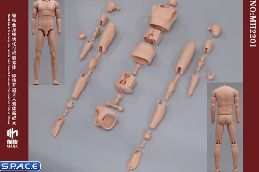 1/6 Scale Male Body MH2201C
