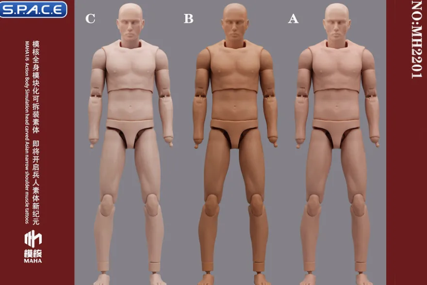 1/6 Scale Male Body MH2201C