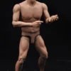 1/6 Scale Male Strong Muscle Body