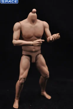 1/6 Scale Male Strong Muscle Body