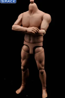 1/6 Scale Male Strong Muscle Body