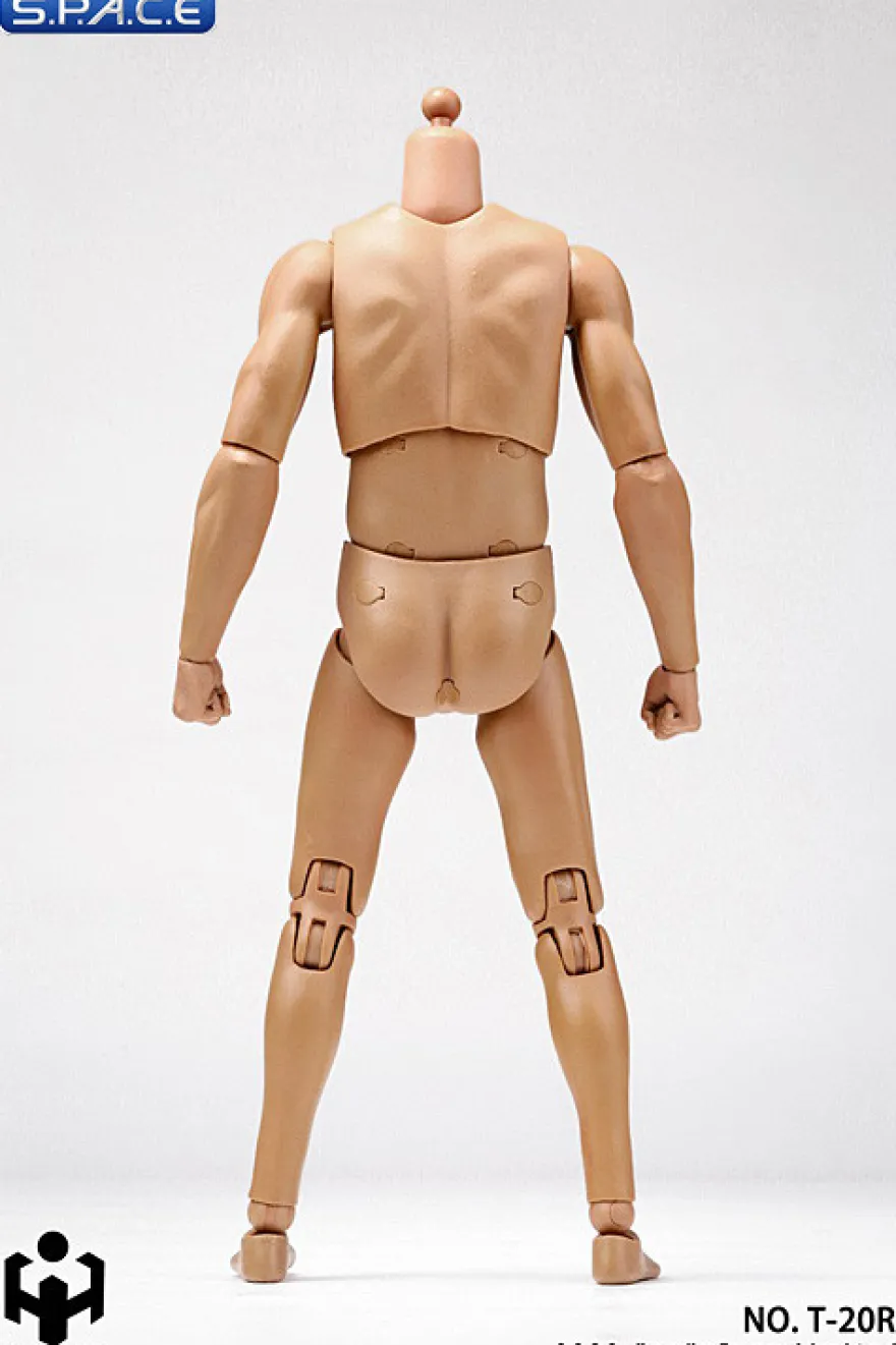 1/6 Scale male super-flexible
