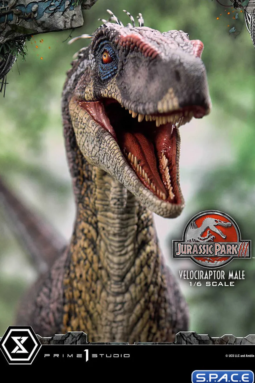 1/6 Scale Male Velociraptor Legacy Museum Collection Statue