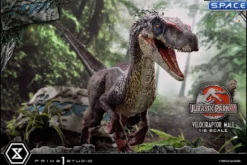 1/6 Scale Male Velociraptor Legacy Museum Collection Statue
