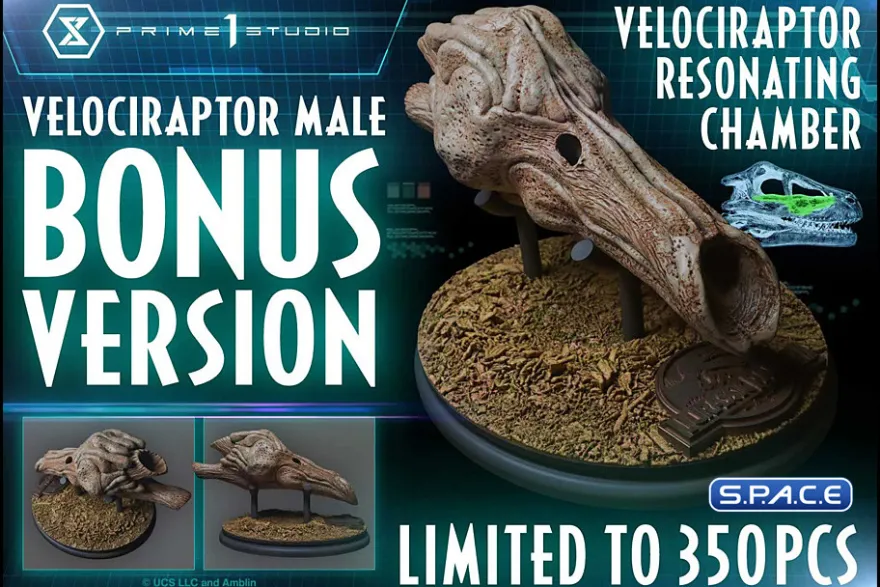 1/6 Scale Male Velociraptor Legacy Museum Collection Statue