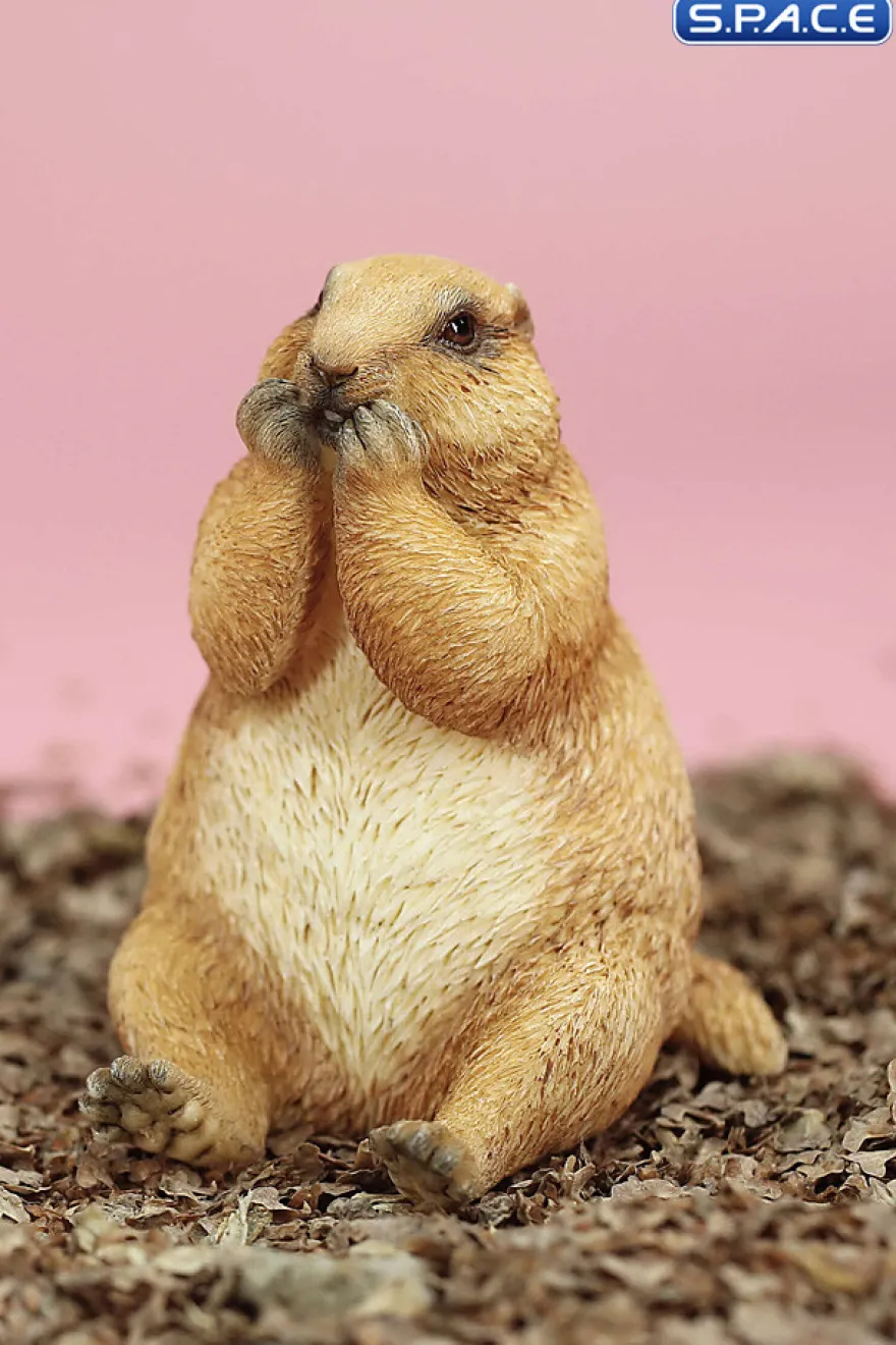 1/6 Scale Marmota Version C