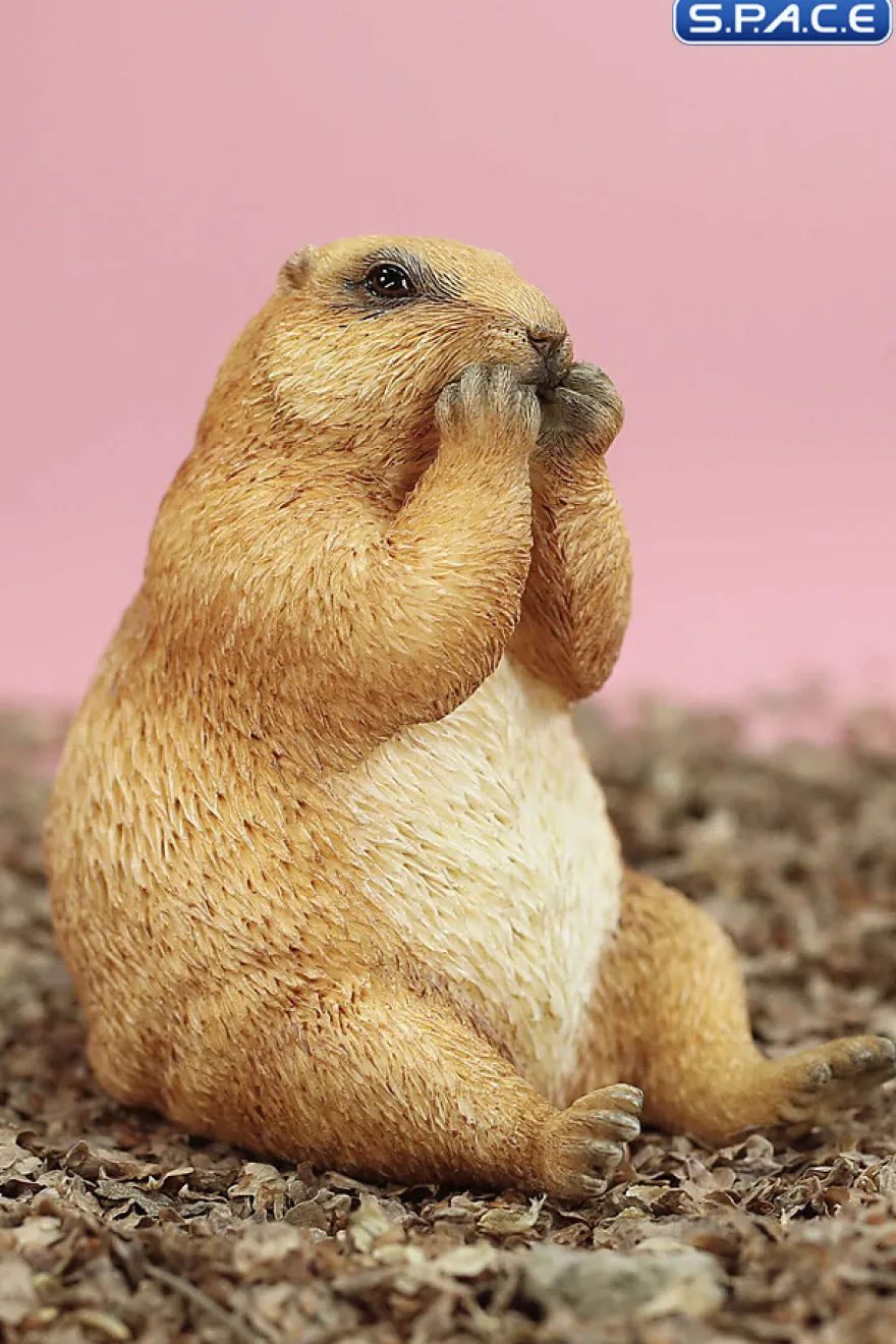 1/6 Scale Marmota Version C