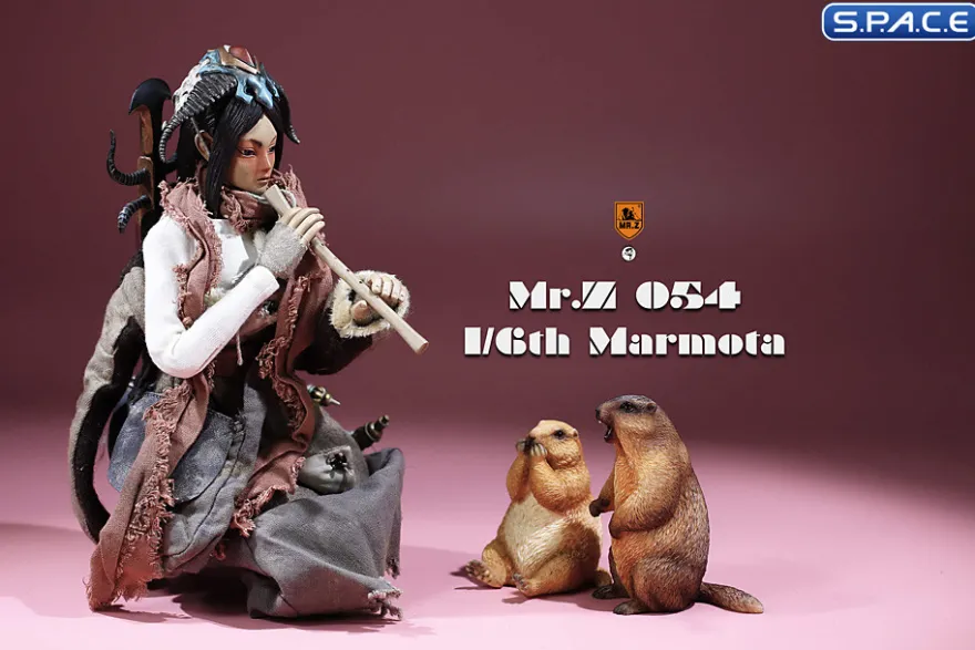 1/6 Scale Marmota Version C