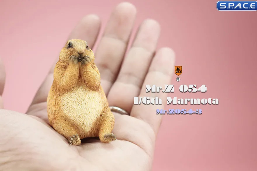 1/6 Scale Marmota Version C