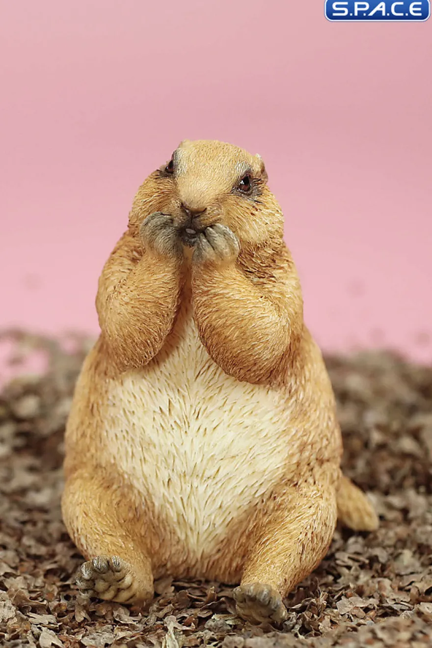 1/6 Scale Marmota Version C