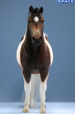 1/6 Scale Mongolica Horse