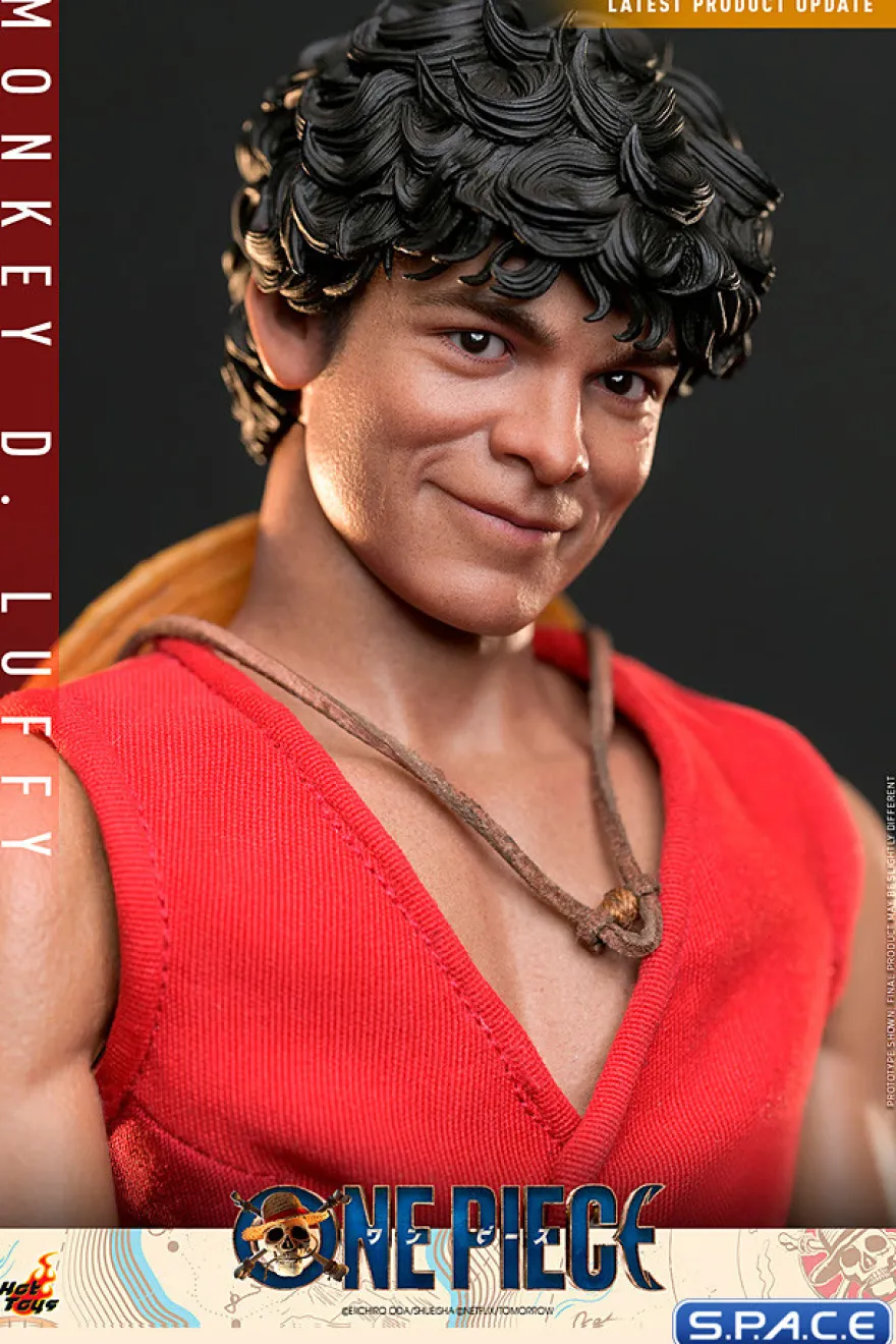 1/6 Scale Monkey D. Luffy TV Masterpiece TMS109