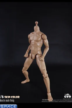 1/6 Scale Muscle male Body