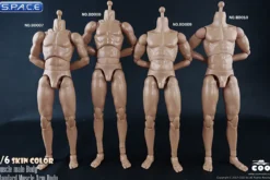 1/6 Scale Muscle male Body