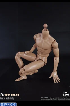 1/6 Scale Muscle male Body