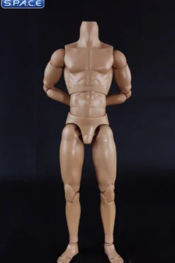 1/6 Scale Muscle male high Body