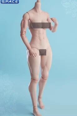 1/6 Scale muscular female Body AT206B