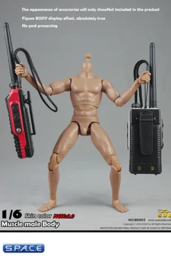 1/6 Scale Muscular Male high Body 2.0