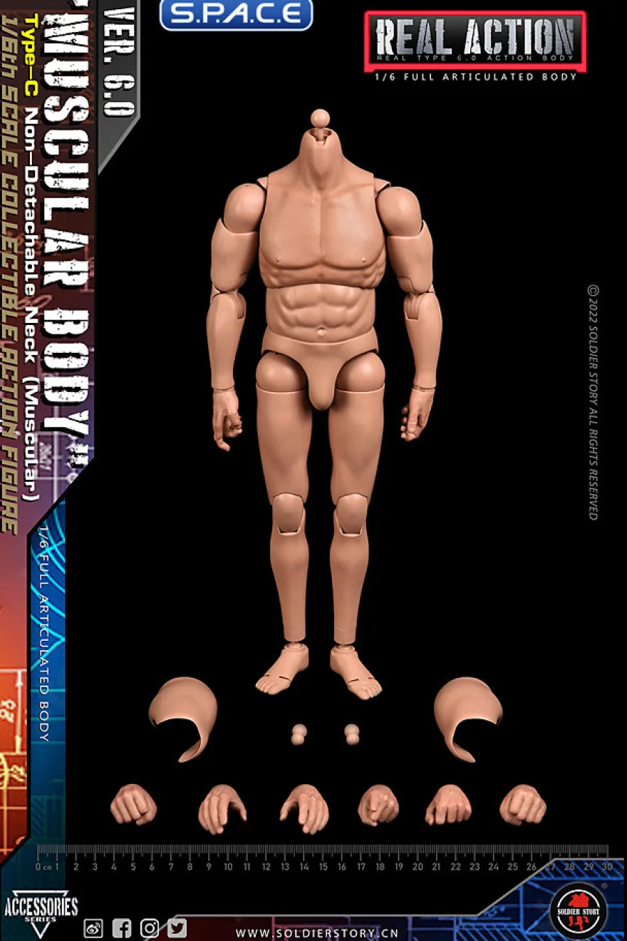 1/6 Scale muscular Real Type 6.0 Action Body Type-C