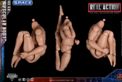 1/6 Scale muscular Real Type 6.0 Action Body Type-C