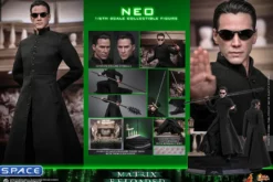 1/6 Scale Neo Movie Masterpiece MMS868