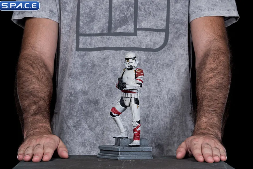 1/10 Scale Night Trooper Art Scale Statue
