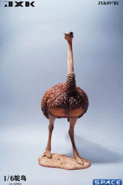 1/6 Scale Ostrich