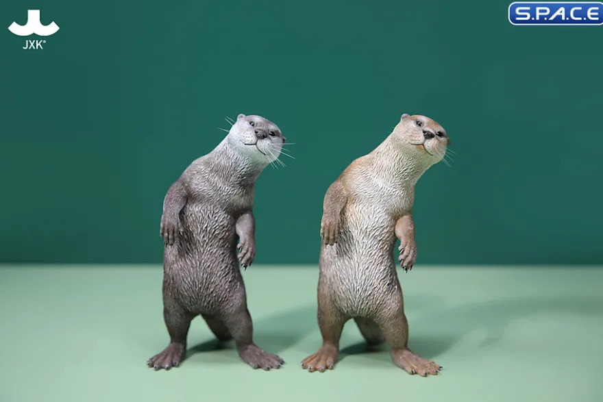 1/6 Scale Otter