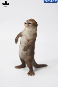 1/6 Scale Otter