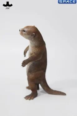1/6 Scale Otter