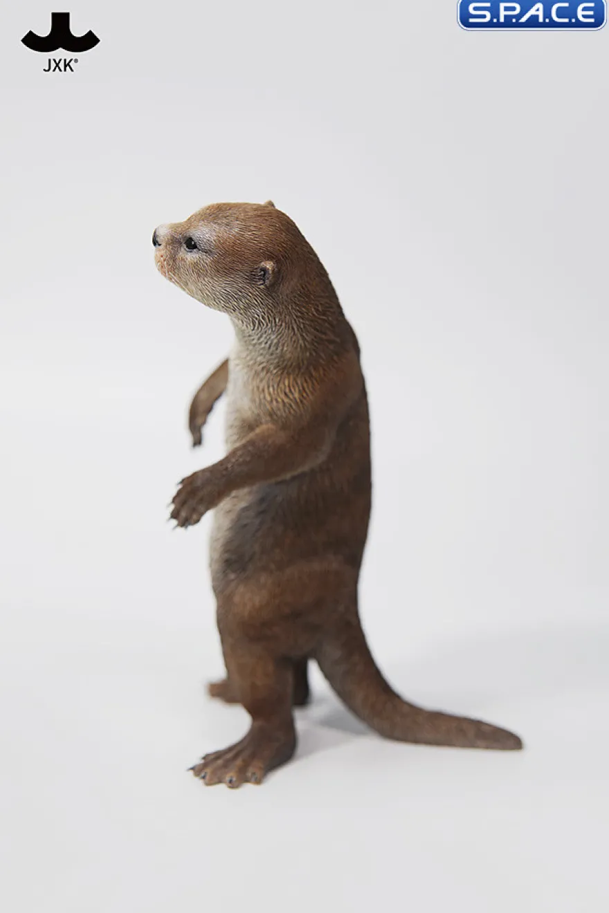 1/6 Scale Otter