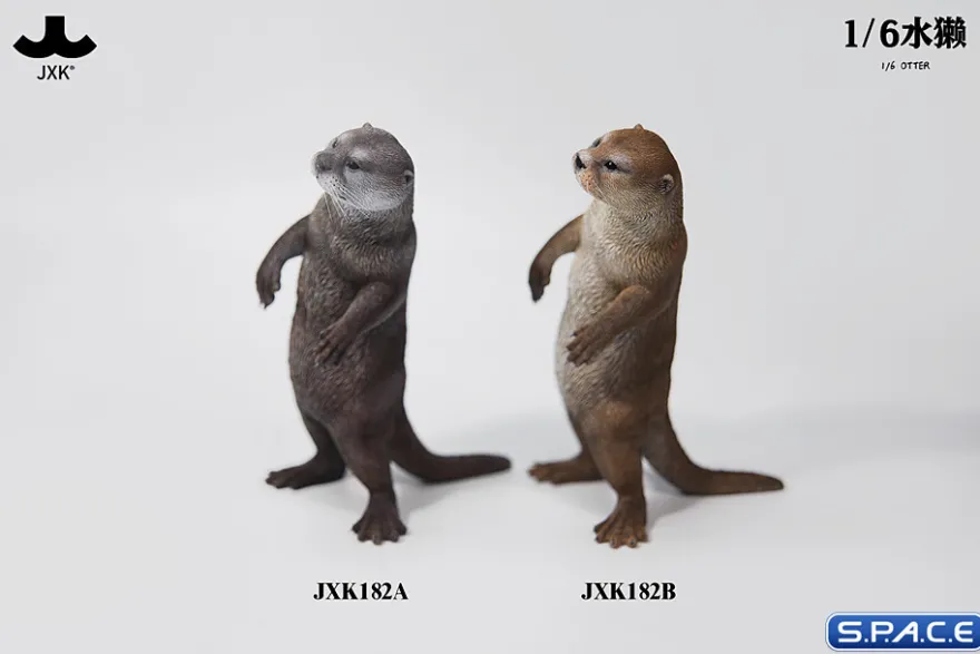 1/6 Scale Otter
