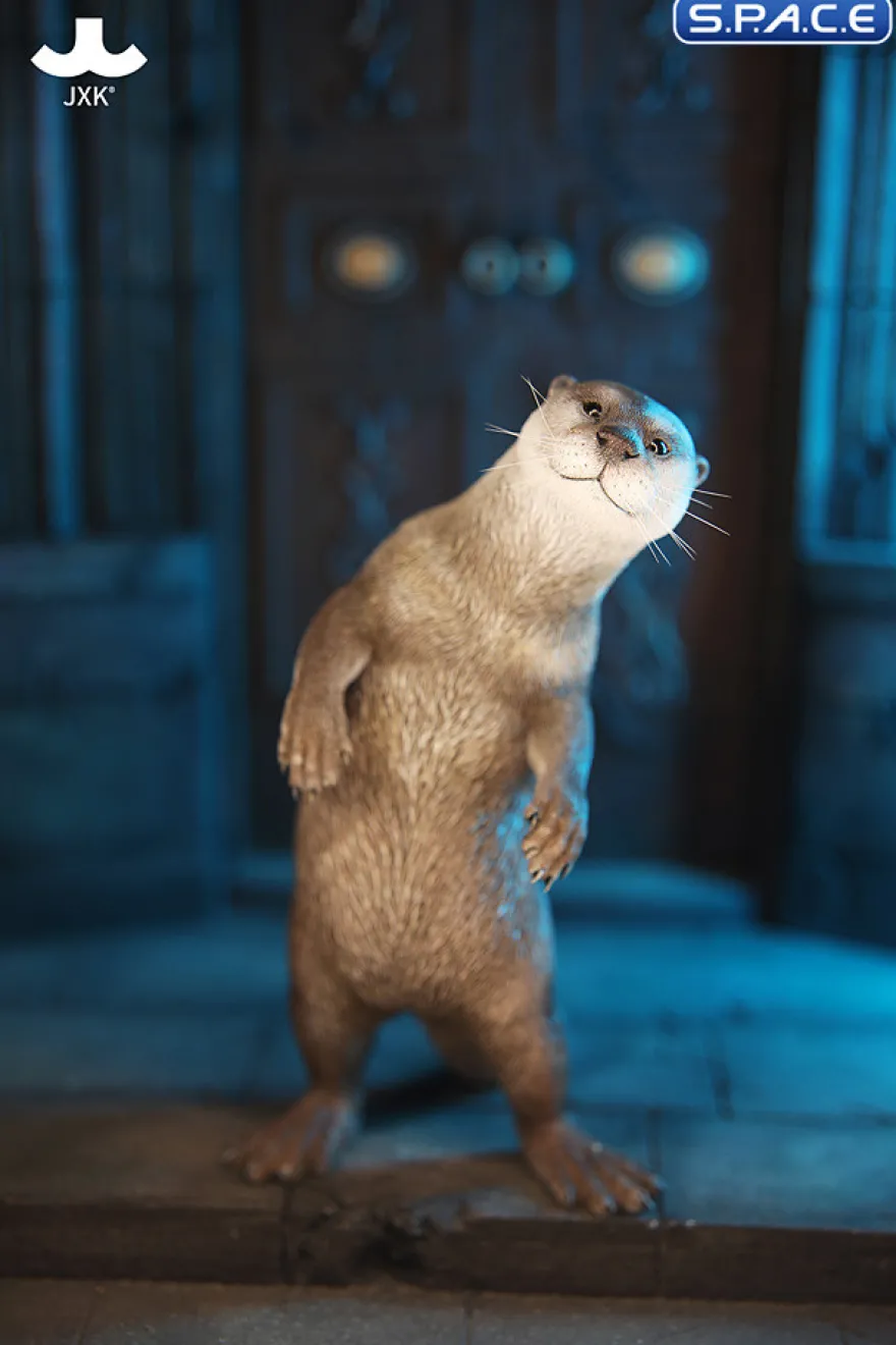 1/6 Scale Otter