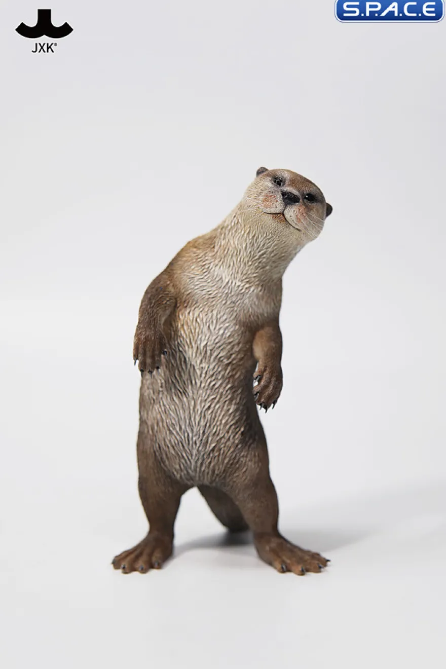 1/6 Scale Otter