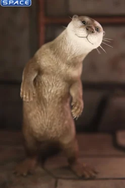 1/6 Scale Otter
